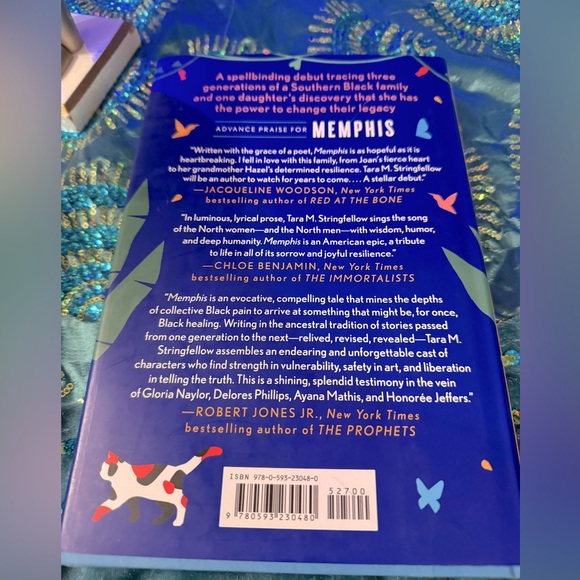 48 hour Sale MEMPHIS by Tara Greenfellow Like New - Picture 6 of 6